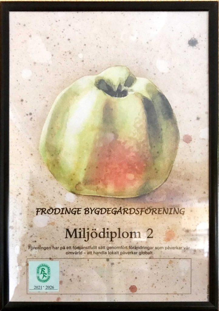 Dplom 2 2021
