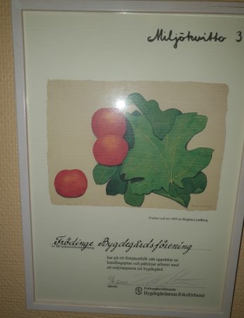 Miljökvitto äldre